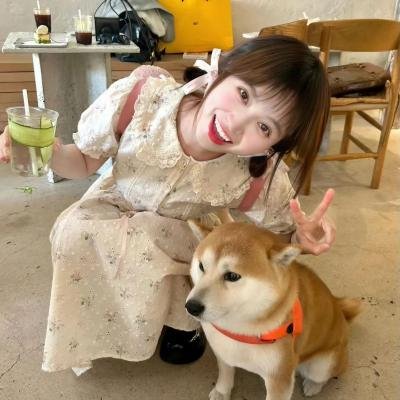 圣诞梦美人